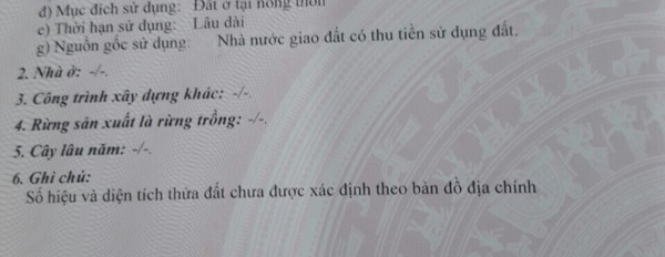 Bán lô đất 200m2 thổ cư, vị trí Thôn Đẳng Thành, Mương Mán-02