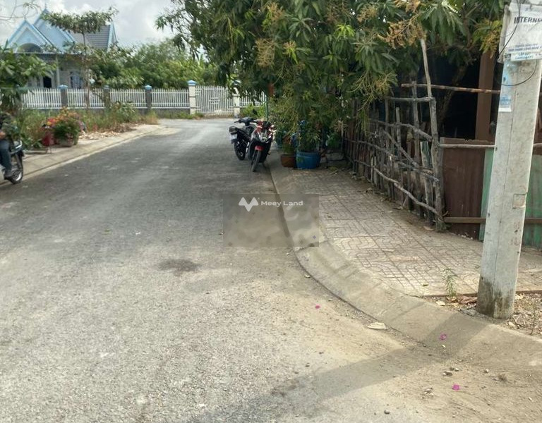 Bán đất mặt tiền đường xe hơi xã Bình Khánh huyện cần giờ -01