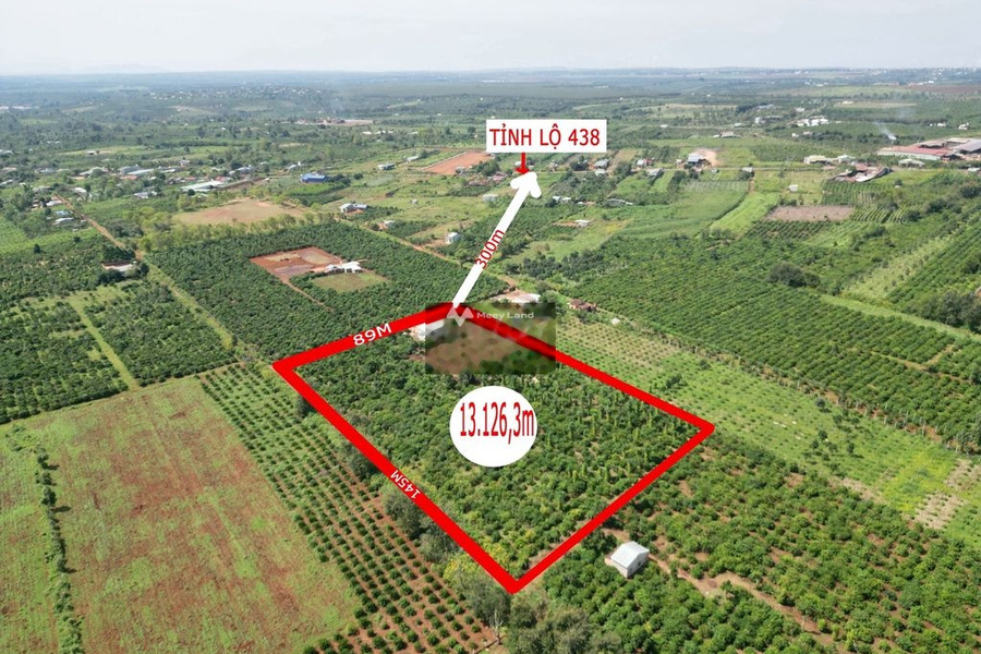Ia Băng, Gia Lai bán đất giá cạnh tranh 1.7 tỷ có một diện tích 13126m2-01