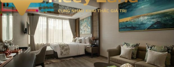 Nhà này gồm 3 phòng ngủ, bán biệt thự, giá bán thương mại chỉ 7.3 tỷ diện tích là 400 m2 vị trí đặt ngay trung tâm Nguyễn Tất Thành, Cam Nghĩa-03