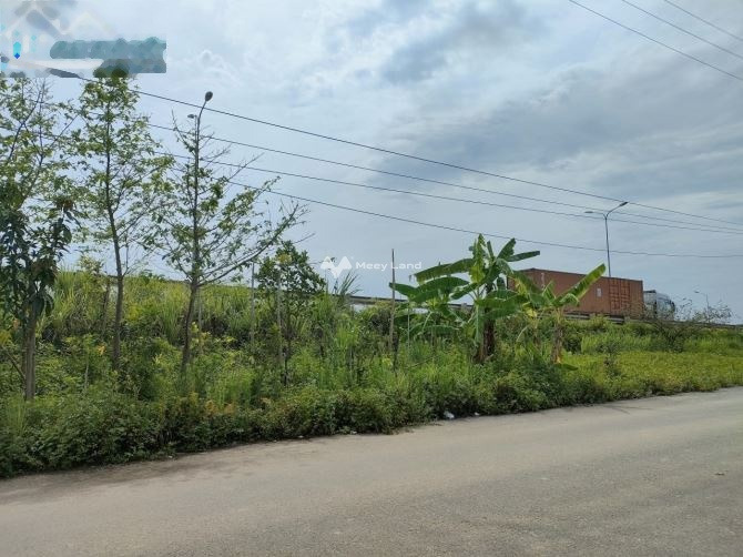 Giá rẻ bất ngờ 2.35 tỷ bán đất với diện tích tiêu chuẩn 107m2 vị trí tại Trần Hưng Đạo, Thanh Hóa, hướng Đông Bắc-01