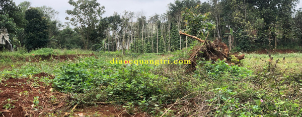 Bán đất tại Nguyễn Chí Thanh, Gio Linh, Quảng Trị. Diện tích 250m2, giá 1,29 tỷ-02