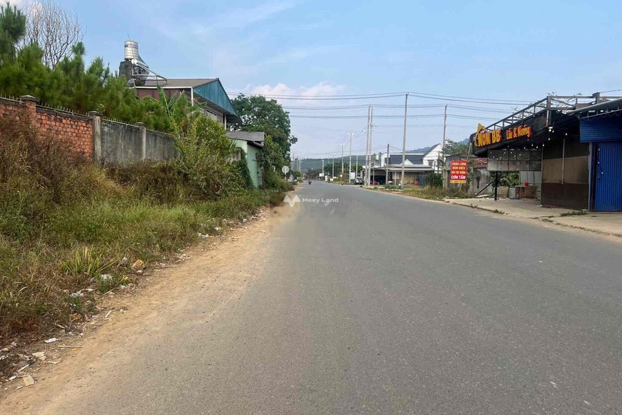 Vị trí tiện lợi Bảo Lộc, Lâm Đồng bán đất giá bán chỉ từ chỉ 480 triệu có diện tích sàn 692m2-01