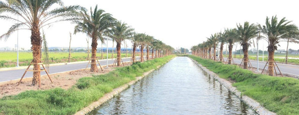 Chỉ 650 triệu sở hữu lô đất nền đầu tư tại Tiền Hải, Thái Bình, gần cao tốc bao biển, đối diện khu công nghiệp Viglacera-02