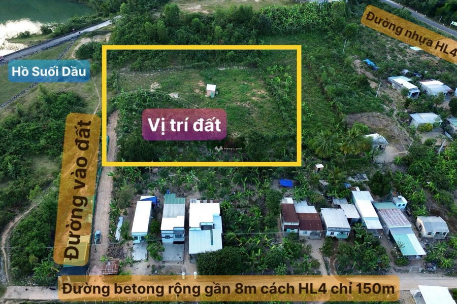Khoảng 1.65 tỷ bán đất có diện tích 3200m2 vị trí đặt ngay Suối Cát, Cam Lâm-01