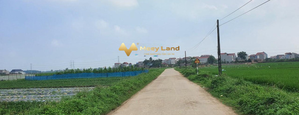 Con đi du học bán mảnh đất, 130 m2 giá hữu nghị chỉ 950 triệu vị trí đẹp nằm ngay Huyện Hiệp Hòa, Tỉnh Bắc Giang khu vực tiềm năng-03