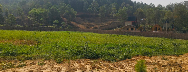 Bán mảnh đất tại Minh Phú, Sóc Sơn, Hà Nội. Diện tích 2880m2, giá 7,2 tỷ-02