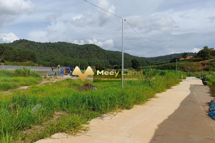 Bán đất diện tích khoảng 500m2 mặt tiền nằm ngay ở Đường Mimosa, Phường 10-01