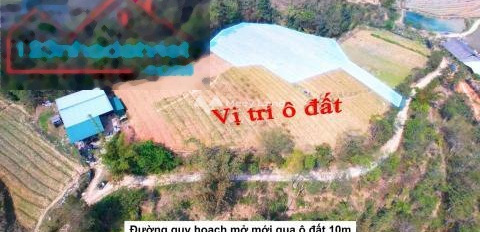 Giá cực kì tốt 123.12 tỷ bán đất diện tích tổng 1200m2 vị trí thuận lợi ở Sa Pa, Lào Cai-02