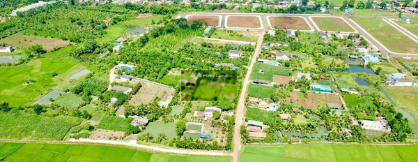 Cư Suê, Đắk Lắk bán đất giá bán siêu ưu đãi từ 3 tỷ diện tích rộng 905m2-03