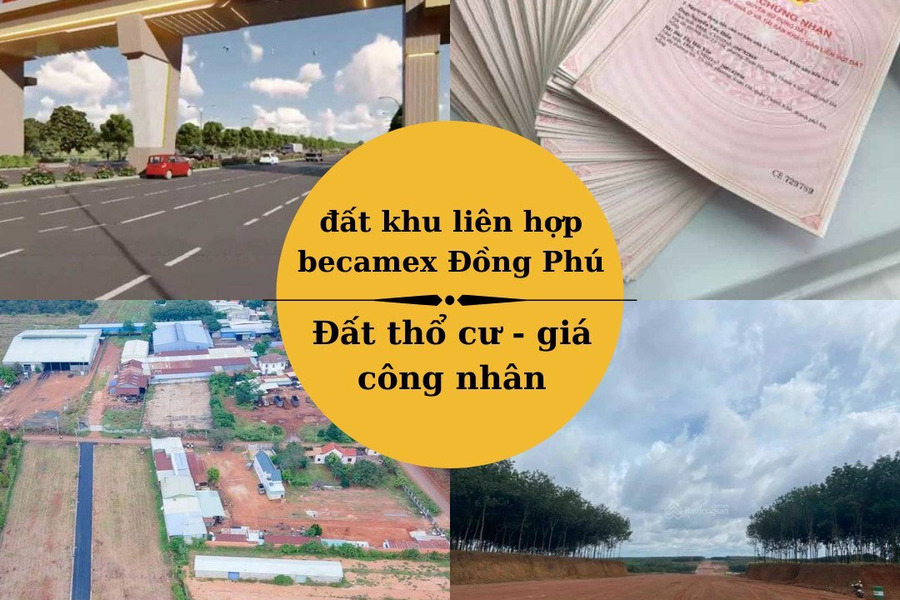 Đất Tân Lợi, Đồng Phú gần tuyến số 4(65m) đường xuyên tâm khu liên hợp thương mại-dịch vụ-công nghiệp Becamex Đồng Phú-01