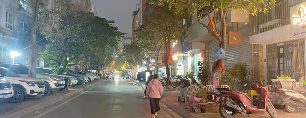 Vị trí thuận lợi tọa lạc tại Ba Đình, Hà Nội bán nhà bán ngay với giá ưu đãi 69 tỷ tổng quan gồm 8 PN 9 WC-02