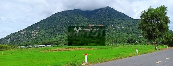 Ngay Dương Minh Châu, Tây Ninh bán đất 560 triệu có diện tích chung 210m2-02