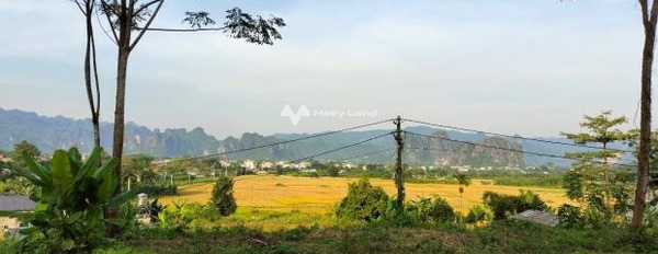 Khó khăn về tiền bạc bán trang trại 4500m2 bán ngay với giá hạt dẻ chỉ 3.2 tỷ nằm ngay bên trong Tân Lạc, Hòa Bình-03