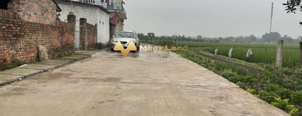 Bán 112,7m2 đất tại Quang Tiến, Sóc Sơn, giá 15,21 tỷ-03