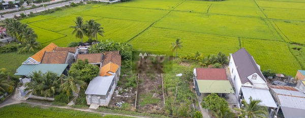 Ninh Hòa, Khánh Hòa bán đất giá bán mong muốn 1.2 tỷ diện tích thực dài 2224m2-03