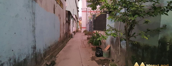 Bán nhà và đất phường Tân Tiến, thành phố Biên Hòa-03