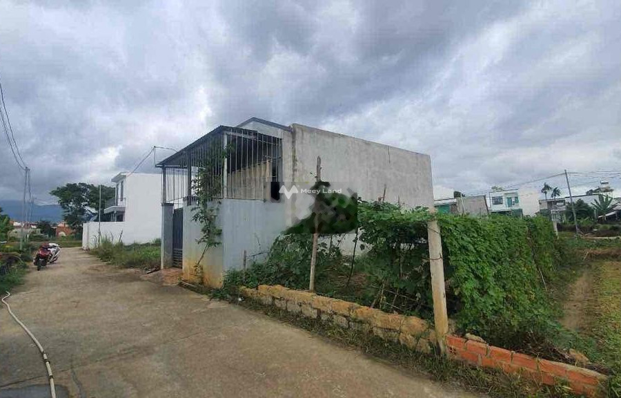 Bán nhanh lô đất siêu rẻ tại xã Diên An , huyện Diên Khánh, Khánh Hoà -01