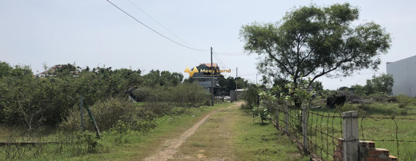 Bán đất vị trí ngay trên Đường 328, Xã Phước Thuận-02