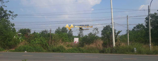 Bán đất có diện tích 3417m2 vị trí tại Vĩnh Tân, Tân Uyên-03