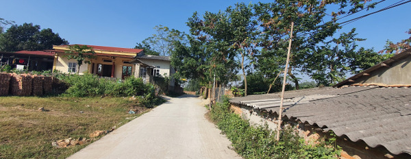 Chính chủ cần bán ô đất 100m2 tại Phú Ninh, Thanh Vân. Giá 730 triệu-02