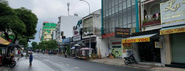 Bán nhà có diện tích chung 160m2 tọa lạc trên Tân Phú, Hồ Chí Minh bán ngay với giá siêu tốt 29 tỷ-02