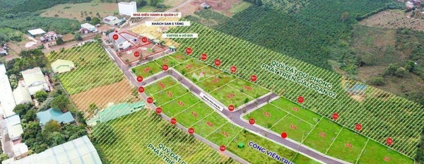 Công việc cấp bách bán mảnh đất, 456m2 giá bán thực tế từ 3.19 tỷ vị trí đặt ở Bảo Lộc, Lâm Đồng thuận tiện di chuyển-03