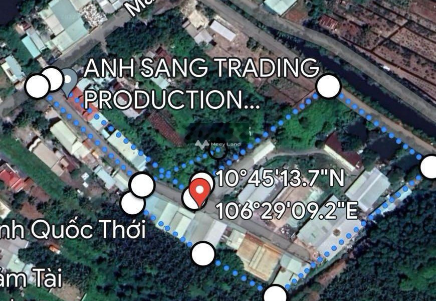 Bình Chánh, Hồ Chí Minh bán đất giá bán mong muốn chỉ 88 tỷ có một diện tích là 11000m2-01