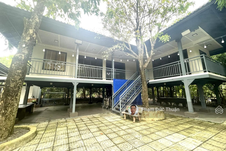 Hot Nhà vườn nghỉ dưỡng, 5000m2, Long Phước, Quận 9, chỉ ~ 8 tr/m2 khu vực đông đúc-01