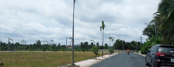 Đất phân lô giá đầu tư gần khu công nghiệp tại Châu Thành, Tiền Giang-03