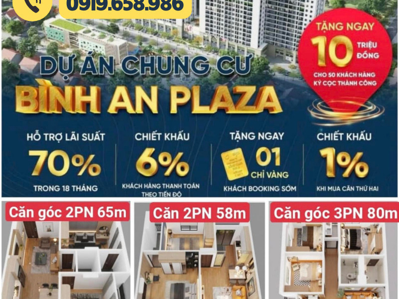 Dự án chung cư cao cấp nhất phường Quảng Thắng, thành phố Thanh Hóa - Bình An Plaza-01