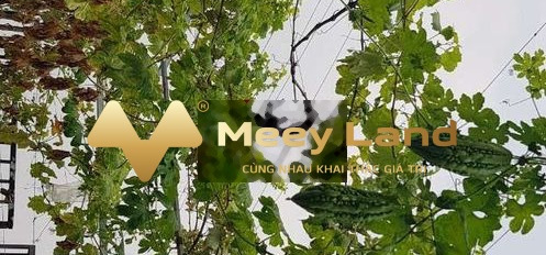 Bán chung cư Nguyễn Duy Trinh, Bình Trưng Đông-03