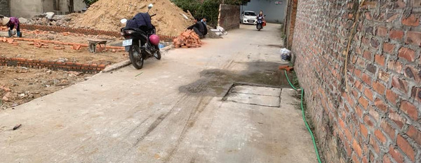Cần bán đất huyện Sóc Sơn, thành phố Hà Nội giá 700 triệu-02