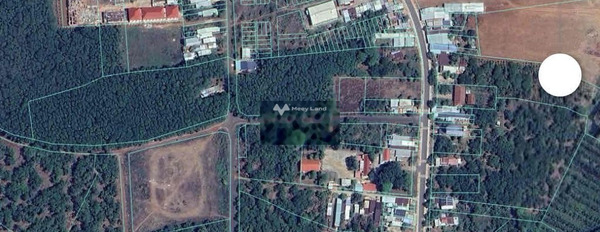 Vị trí thuận lợi ngay trên Phước Sơn, Bình Phước bán đất giá bán siêu ưu đãi từ 265 triệu với diện tích chuẩn 540m2-03