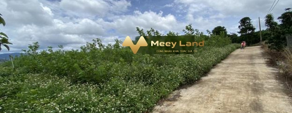 Cần bán đất vườn tại xã Mê Linh Đà Lạt chính chủ đăng tin-02