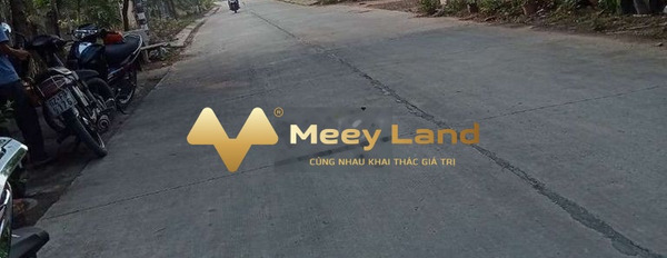 Giá cạnh tranh chỉ 1.8 tỷ bán đất diện tích khoảng là 300m2 vị trí mặt tiền ngay ở Nguyễn Thị Bài, Long An-03