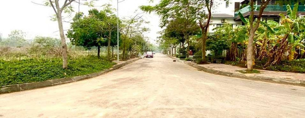 Bán đất tại Nguyễn Viết Xuân, Vĩnh Phúc. Diện tích 2874m2-03