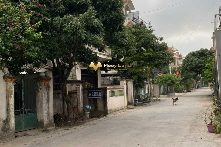 Huyện Sóc Sơn, Hà Nội 920 triệu bán đất diện tích tổng là 100m2-01