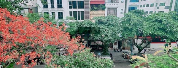 Bán nhà mặt phố Lý Thường Kiệt, Hoàn Kiếm, diện tích 48m2 x 4 tầng, mặt tiền 4,8m giá 42 tỷ -02
