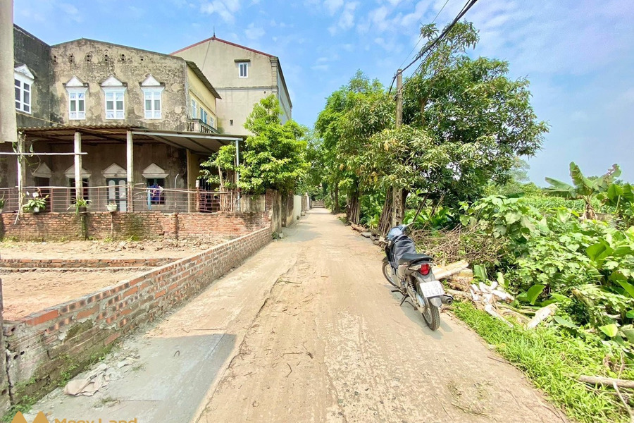 Chính chủ gửi bán lô đất siêu hiếm bìa làng 69m² tại xóm Ngõ Thôn Khê Nữ, Nguyên Khê, Đông Anh, Hà Nội-01