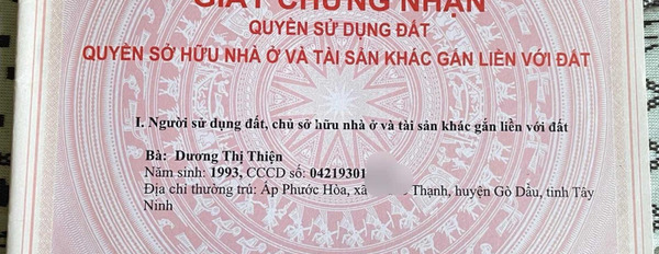 700 triệu bán đất có diện tích 169m2 vị trí thuận tiện Đường 782, Gò Dầu, hướng Tây - Nam-03