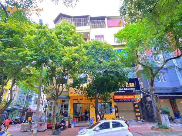 Bán nhà phố Duy Tân, lô góc 3 mặt tiền - kinh doanh vip vỉa hè rộng diện tích 120m2 chỉ 53 tỷ-01