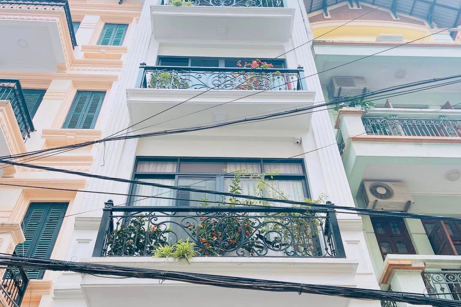 Bán nhà phố Trần Quang Diệu - Hoàng Cầu, Đống Đa - hàng hiếm - 7 tầng thang máy - nhà dân xây-01