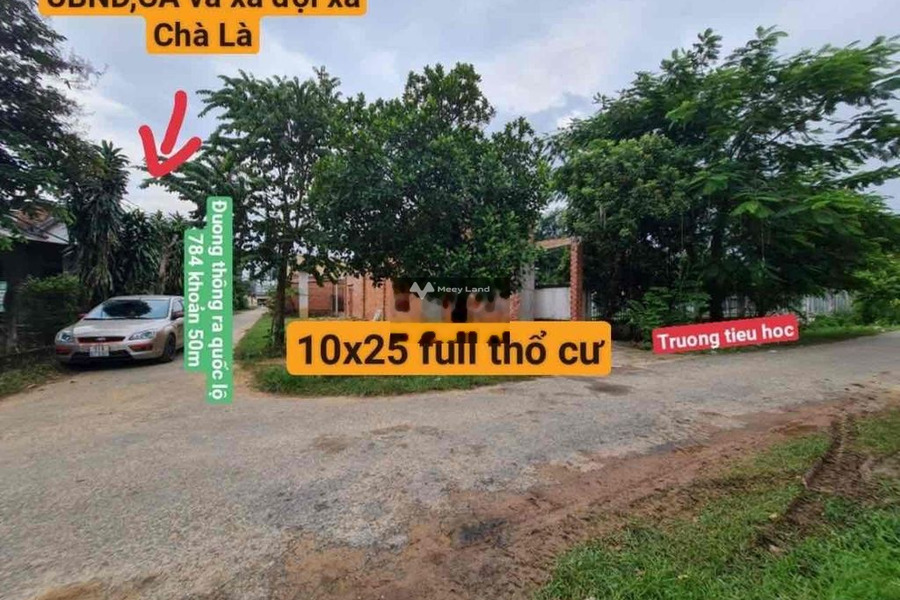 Chà Là, Tây Ninh 1.65 tỷ bán đất diện tích tiêu chuẩn 255m2-01