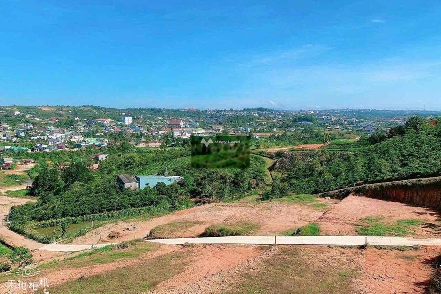Nằm trong mức 1 tỷ bán đất có diện tích chung 509m2 vị trí thuận lợi tọa lạc ngay Bảo Lộc, Lâm Đồng-01
