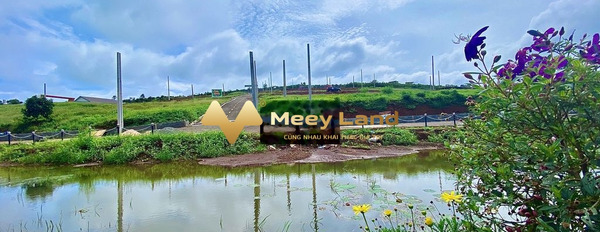 599 triệu bán đất có dt thực 175 m2 tọa lạc ở Đường Tôn Thất Thuyết, Tỉnh Lâm Đồng-02