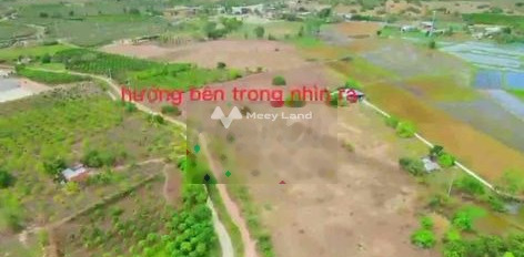 Bán đất 2.85 tỷ Bắc Bình, Bình Thuận diện tích thực tế 5565m2-02