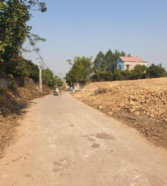 Bán đất diện tích 250m2 tại Yên Dũng, Bắc Giang-01