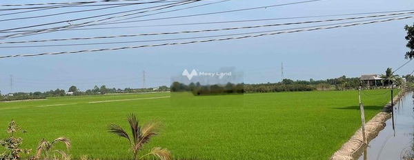 Bán đất 3.6 tỷ Ông Cả, Thủ Thừa diện tích chính là 12000m2-03