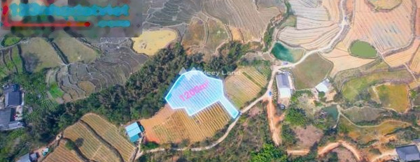 Giá cực kì tốt 123.12 tỷ bán đất diện tích tổng 1200m2 vị trí thuận lợi ở Sa Pa, Lào Cai-03